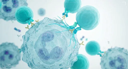 CAR-T cell therapy